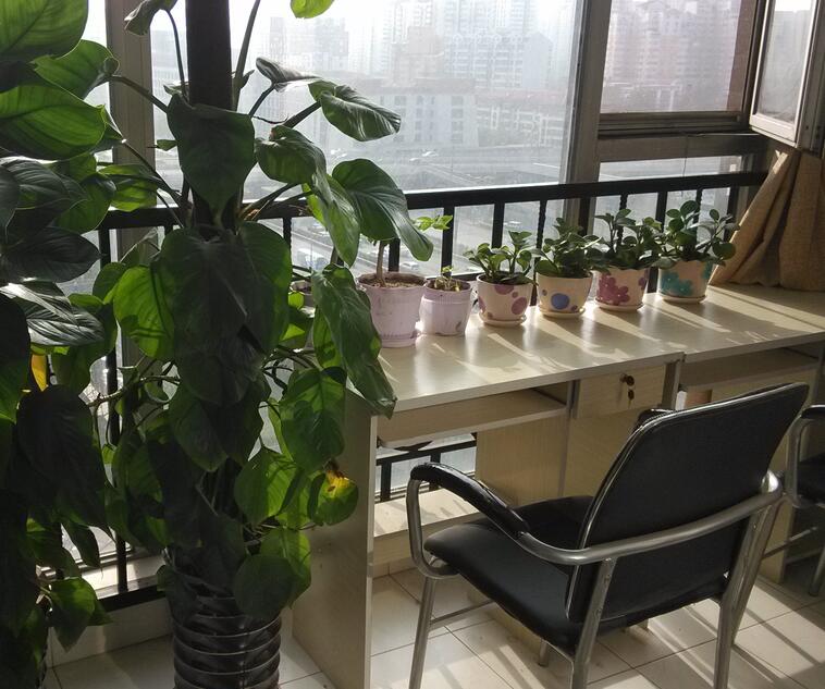 亞運(yùn)村校園風(fēng)景